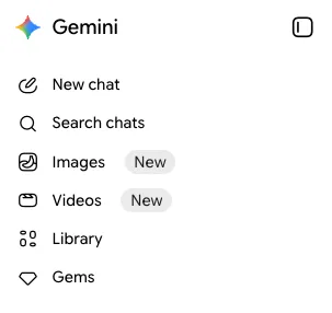 gemini tool options